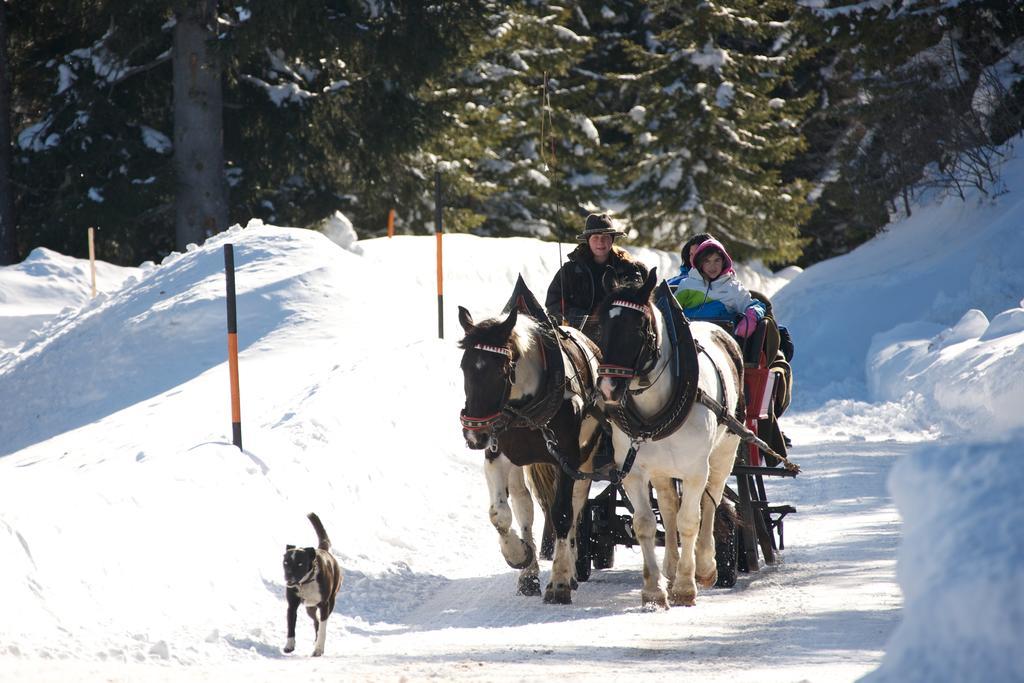 Hansalgut Hintergöriach Exteriér fotografie